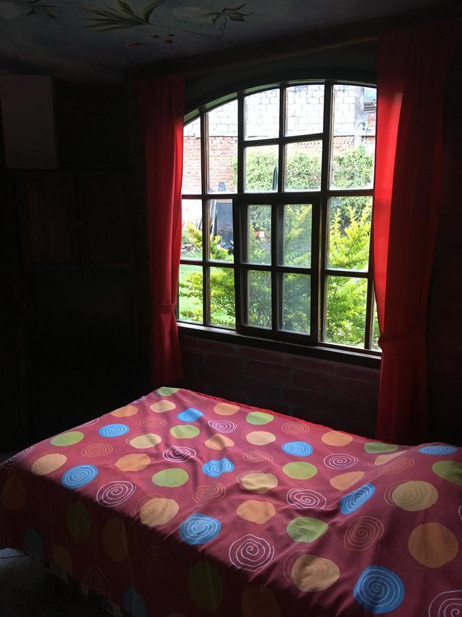 Great Backpackers